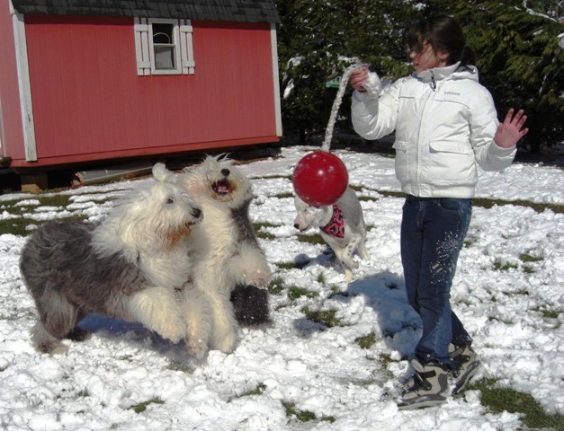 /images/events/28/Nelson Beau and Genny play in the snow.jpg